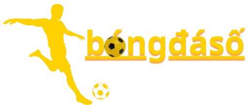 lionstudio.cc